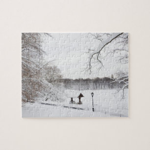 Puzzle Les Etats-Unis, New York City, Central Park en