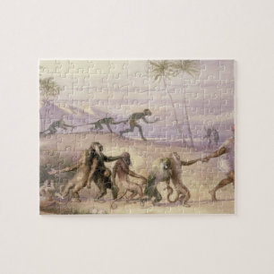 Puzzle Les façons et les coutumes des singes
