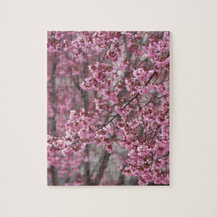 Puzzle Les fleurs de cerisiers Sakura sont roses