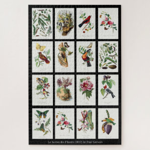 Puzzle Les Jardins des Plantes Illustrations Vintages 002