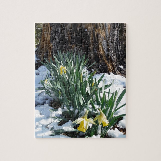 Puzzle Les jonquilles jaunes dans la neige (Vertical)