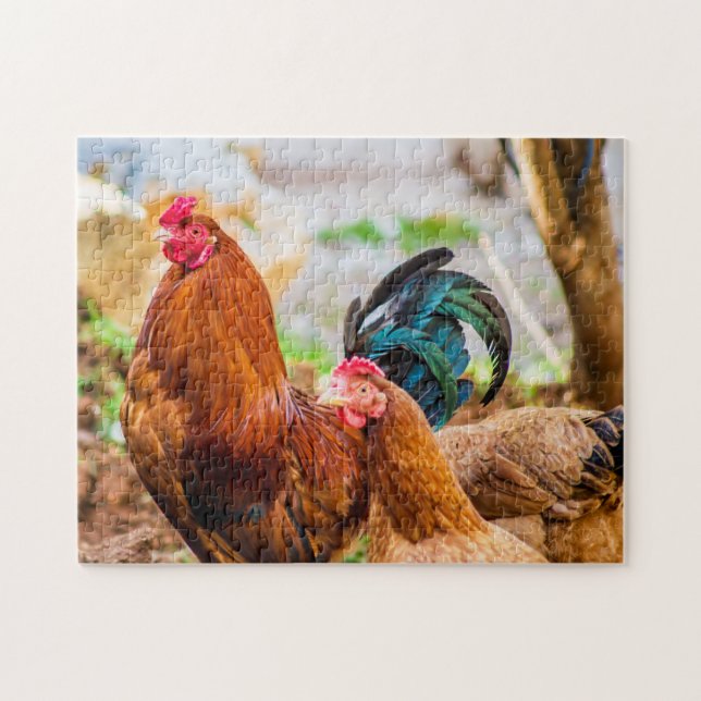 Puzzle Les meilleures photos d'oiseaux (Horizontal)