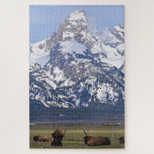 Puzzle Les monts Grand Teton - 20x30 - 1014 pcs.
