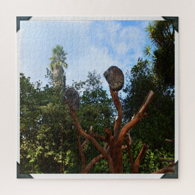 Puzzle Les Ours De Koala S'Endorment Dans Les Arbres, (Vertical)