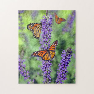 Puzzle Les papillons Monarch se nourrissent de fleurs vio