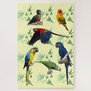 Puzzle Les perroquets