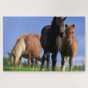 Puzzle Les Ponies
