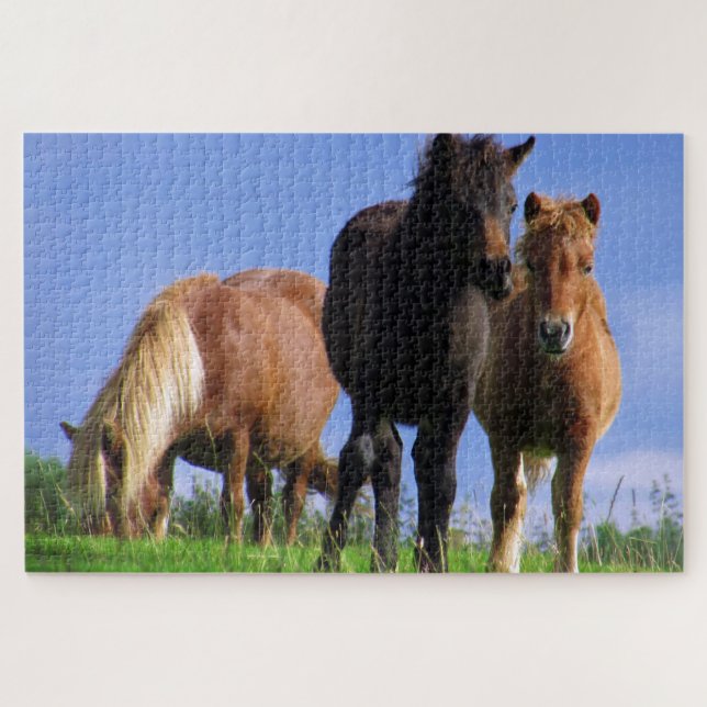 Puzzle Les Ponies (Horizontal)