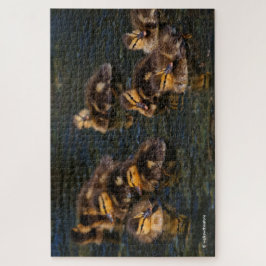 Puzzle Les salons flottants : 9 Cute Mallard Ducklings Ji