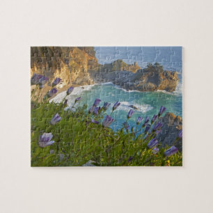 Puzzle Les Scenic McWay Falls se jettent sur la plage et