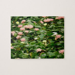 Puzzle L'étang Lily