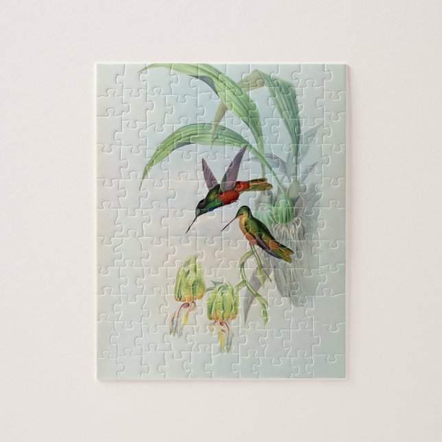 Puzzle L'étoile de Bonaparte a affronté le colibri (Vertical)
