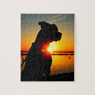 Puzzle Lever de soleil de pitbull