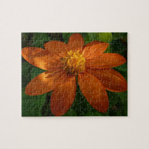 Puzzle Lever du soleil sur le tournesol mexicain Orange F