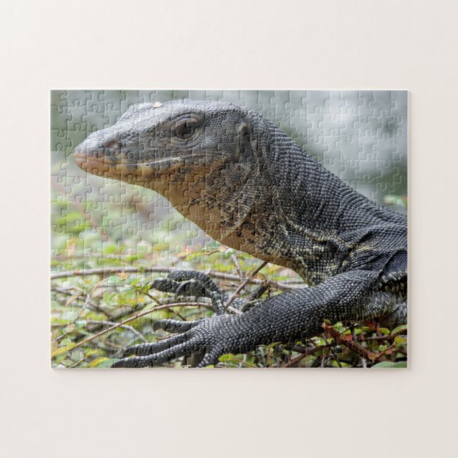 Puzzle Lézard de moniteur (Horizontal)
