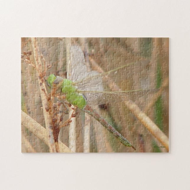 Puzzle Libellule verte I1 (Horizontal)