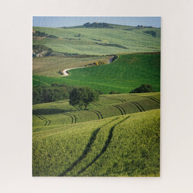 Puzzle Lignes sinueuses dans un paysage vert de la (Vertical)