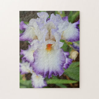 Puzzle - Lila Weißer Orchid