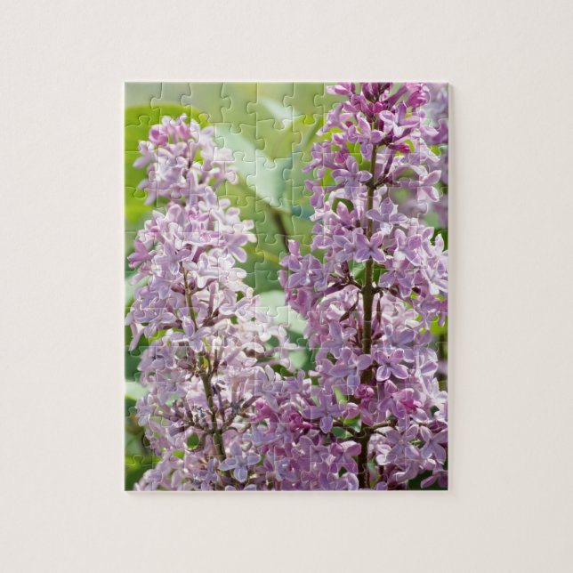 Puzzle Lilac P5390 (Vertical)