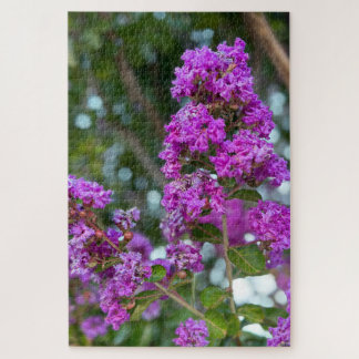 Puzzle Lilas de Chine, Livermore