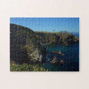 Puzzle L'île d'Anacapa dans le Parc national des îles Cha