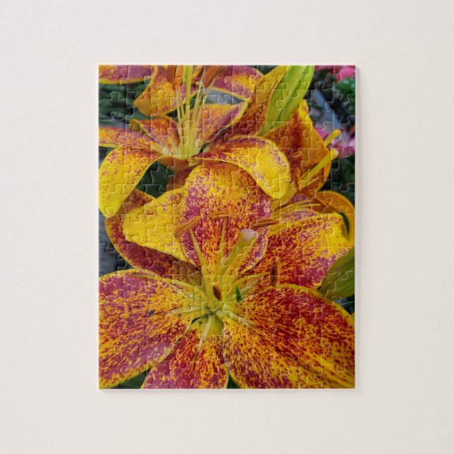 Puzzle Lilies (Vertical)