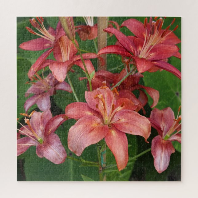 Puzzle Liliums (Vertical)