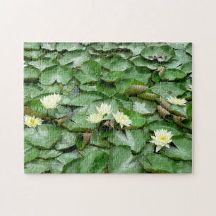 Puzzle Lillies d'eau