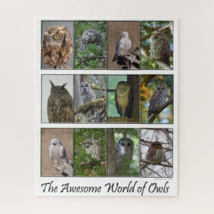 Puzzle L'incroyable casse-tête World of Owls