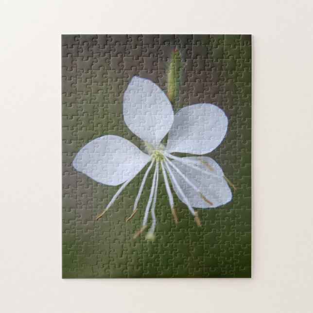 Puzzle Lindheimeri de Gaura - papillons de (Vertical)