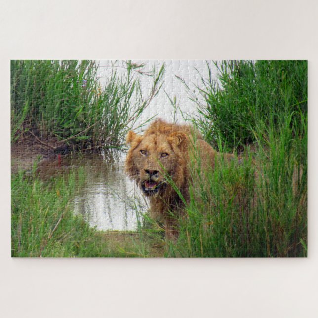 Puzzle lion (Horizontal)