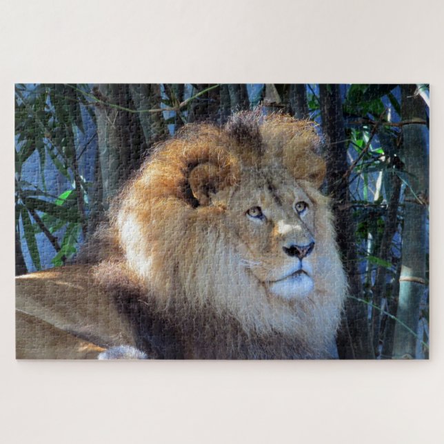 Puzzle lion (Horizontal)