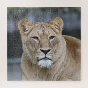 Puzzle Lion 004
