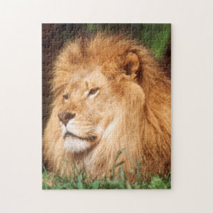 Puzzle Lion adult