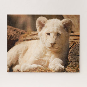 Puzzle Lion Cub