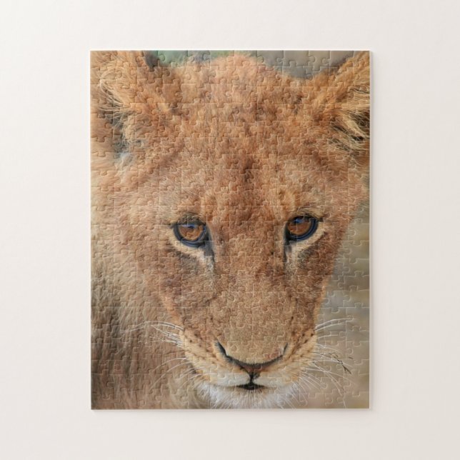 Puzzle Lion CUB (Vertical)