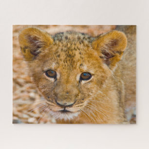 Puzzle Lion Cub Big Cats.