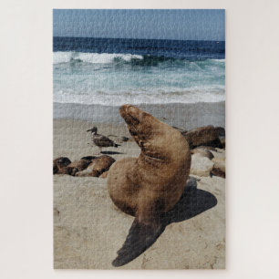 Puzzle Lion de mer Brown sur une plage