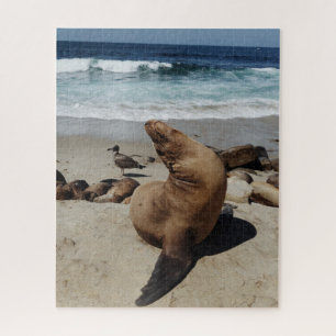 Puzzle Lion de mer Brown sur une plage