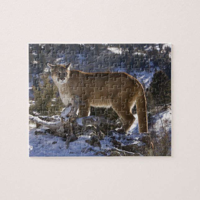 Puzzle Lion de montagne (Horizontal)