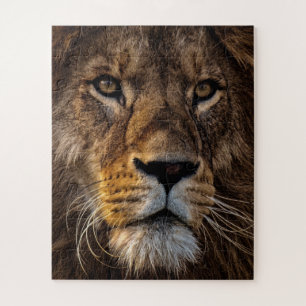 Puzzle Lion, Homme Adulte