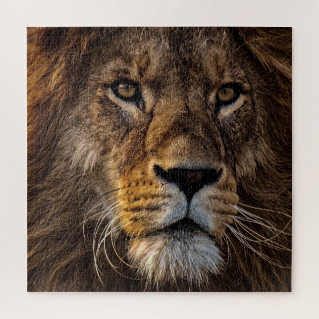 Puzzle Lion, Homme Adulte (Vertical)