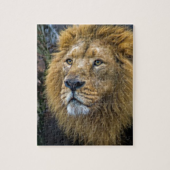 Puzzle Lion majestueux (Vertical)