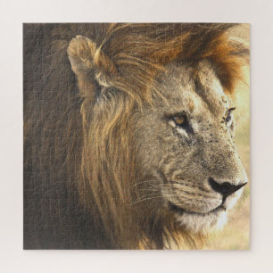 Puzzle Lion puissant