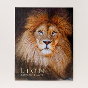 Puzzle Lion [Puzzle : 520P]