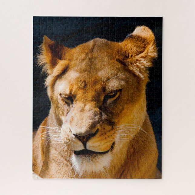 Puzzle Lionnes Grands Félins. (Vertical)