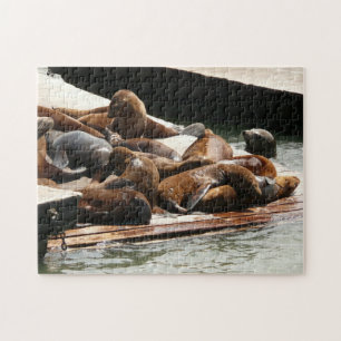 Puzzle Lions de mer au soleil à San Francisco