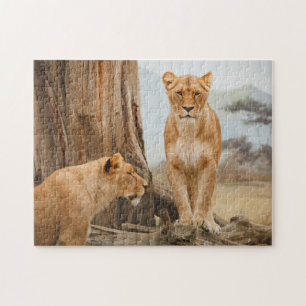 Puzzle Lions femelles scoutant aux arbres morts