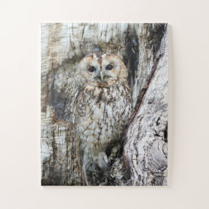 Puzzle Little Camouflage Owl in Tree
