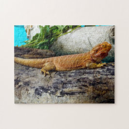 Puzzle Lizard de dragon à tête adulte